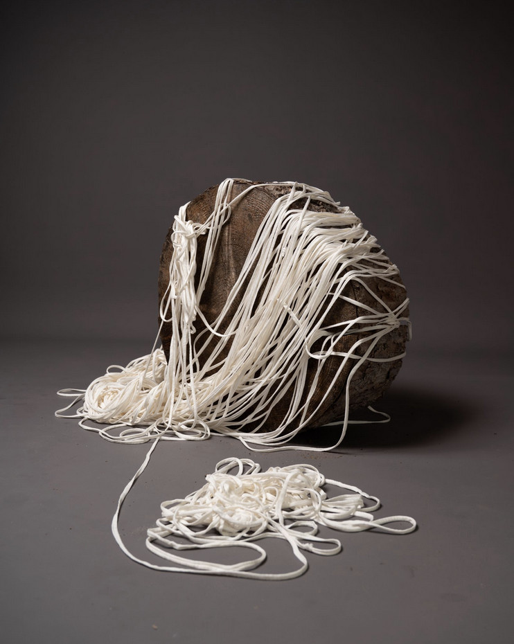 Maiada Aboud - The Tie That Remains